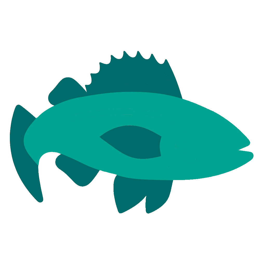 northern pike clipart